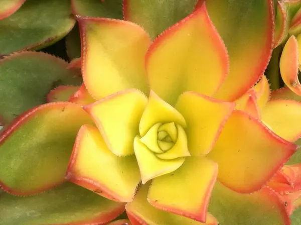 Some image